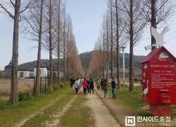 내포문화숲길에서 ‘토닥토닥’ 몸과 마음을 편안하게