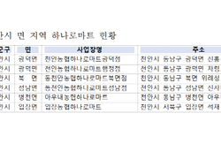 ‘민생회복 소비쿠폰’ 면지역 하나로마트까지 사용처 확대