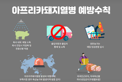 국내 최대 양돈 지역 충남, 아프리카돼지열병 발생 ‘긴급 차단방역’ 돌입