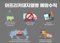 국내 최대 양돈 지역 충남, 아프리카돼지열병 발생 ‘긴급 차단방역’ 돌입
