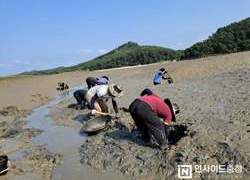충남 귀어학교, 올해 마지막 교육생 모집