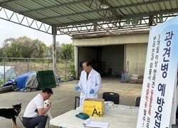 천안시, 24일까지 광견변 예방접종 지원 