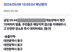대전 동구 맹견 탈출 재난문자 소동 “맹견 아닌 소형 유기견”