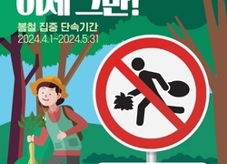 산나물 불법 채취 말일까지 집중 단속