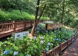 안면도수목원 무장애나눔길 전국 ‘최고’ 