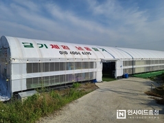 [오늘 한끼] 해미읍성 부근 너른 들녘에는 딸기가 있다 ‘딸기에 반하다’