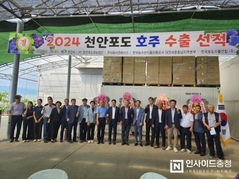 천안 ‘하늘그린 거봉포도’ 호주 수출길 올랐다