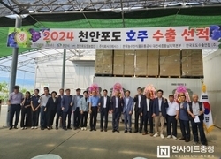 천안 ‘하늘그린 거봉포도’ 호주 수출길 올랐다