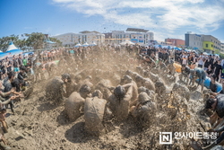 [포토] 세계인이 함께하는 제28회 보령머드축제
